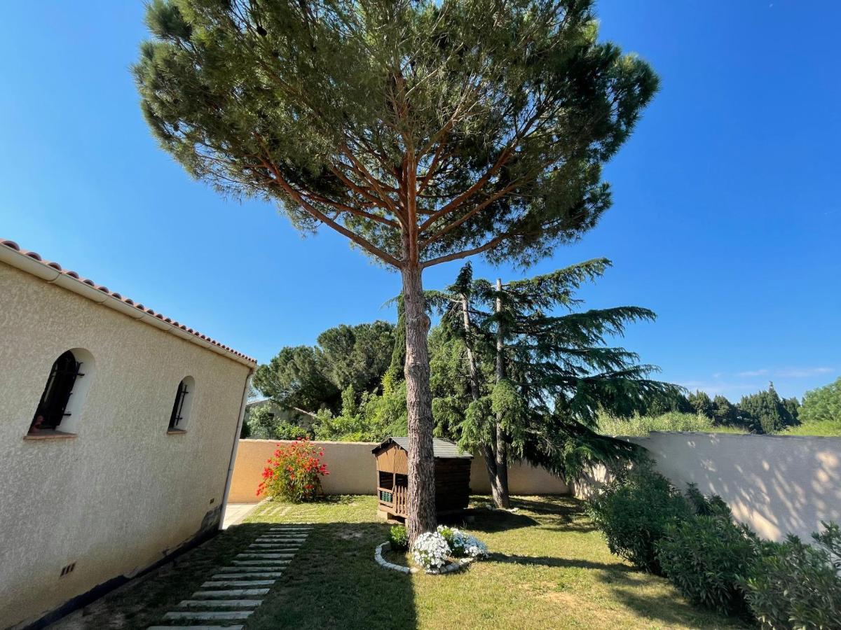Annexe Des Pins - Studio Gite Avec Piscine & Climatisation Villeneuve-les-Beziers Bagian luar foto